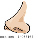 Nose Vector Cartoon 14035165