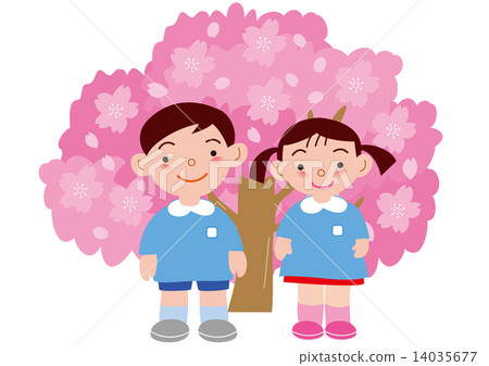 盛開的櫻花和幼兒園 盛開的櫻花和幼兒園 14035677