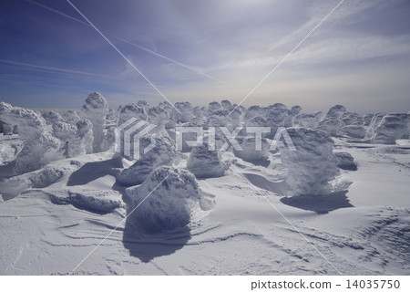 Rice cracked at the summit of Nigozuma mountain 14035750