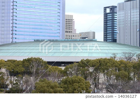 Osakajo Hall from the Bairin forest garden 14036127