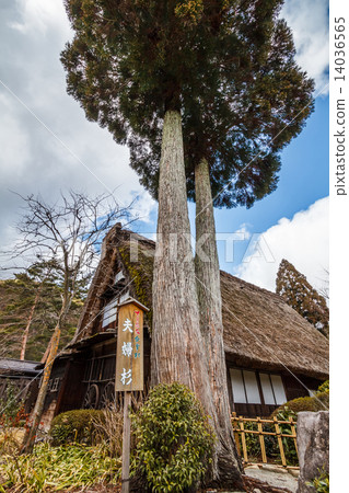 下呂溫泉Gakusho村老岩崎家庭和夫婦雪松 下呂溫泉Gakusho村老岩崎家庭和夫婦雪松 14036565