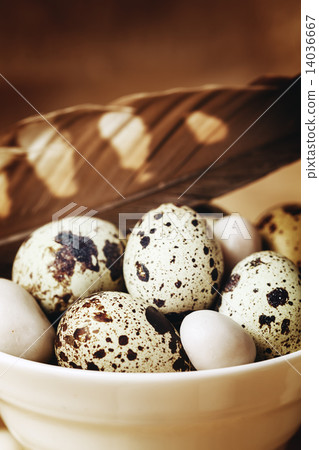 Food easter background with quail eggs Food easter background with quail eggs 14036667