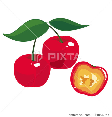Acerola Acerola 14036933
