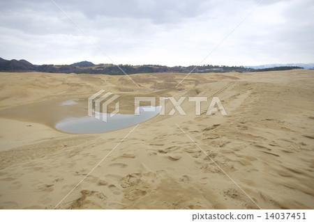 Tottori sand dunes Tottori sand dunes 14037451