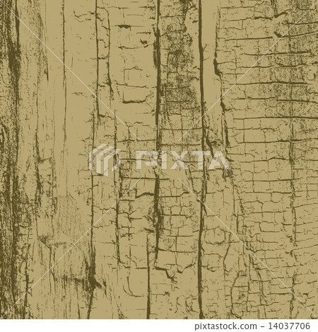 Color Dry Wood 14037706