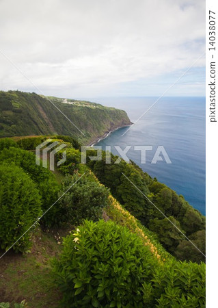 Aerial view to the city and valley, San Miguel island, Azores Aerial view to the city and valley, San Miguel island, Azores 14038077