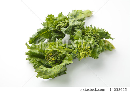 Stick Senor 14038625