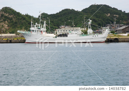 日本海 14038782