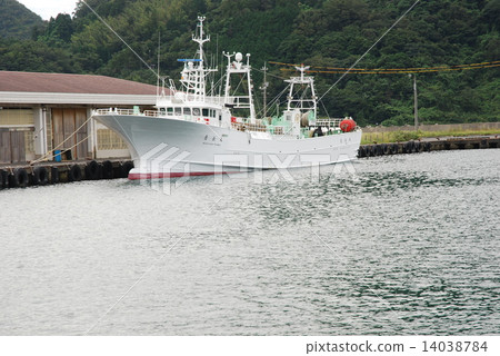 日本海 14038784