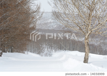 Okushiga Kogen in winter Okushiga Kogen in winter 14038999