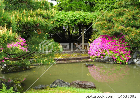 Spring of the castle in Kyoto Seongnam Spring of the castle in Kyoto Seongnam 14039092