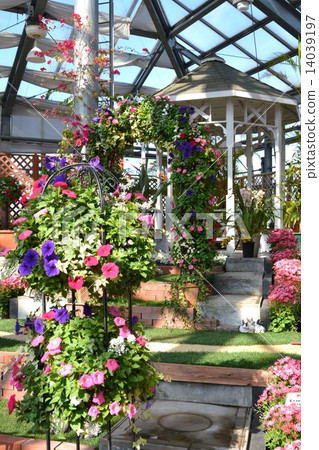 Spring greenhouse 14039197
