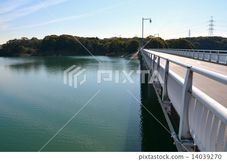 薩里池塘貝林 14039270