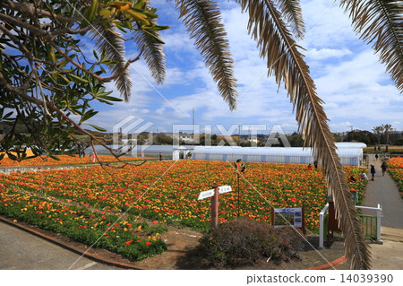 Tateyama Family Park Poppy's Village Tateyama Family Park Poppy's Village 14039390