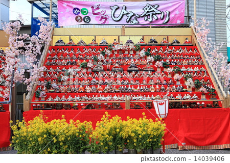 桂大Hina祭典 桂大Hina祭典 14039406