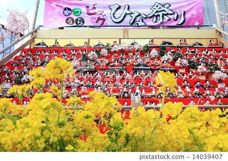 桂大Hina祭典 桂大Hina祭典 14039407