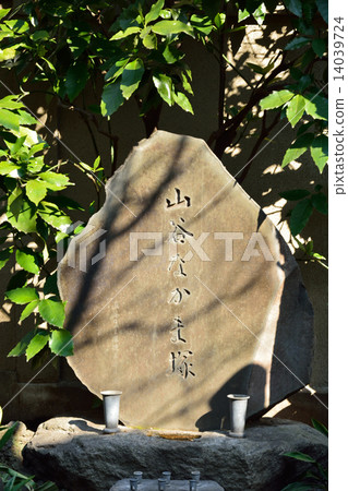 Asakusa walking: Mountain valley Naka Muzuka Nichiren sect Honjoji Asakusa walking: Mountain valley Naka Muzuka Nichiren sect Honjoji 14039724