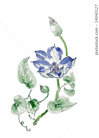 Hand-drawn illustration "Tessen" Hand-drawn illustration "Tessen" 14040127