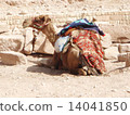 Petra ruins 14041850