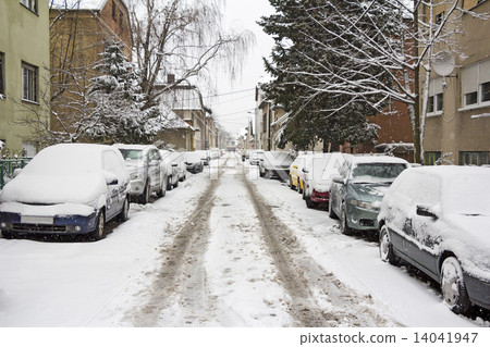 Parked Cars covered with snow 14041947