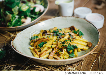 pasta penne with mushrooms 14042372
