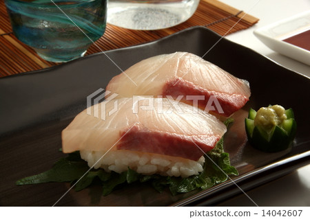 Kanko Sushi handful sushi sake 14042607