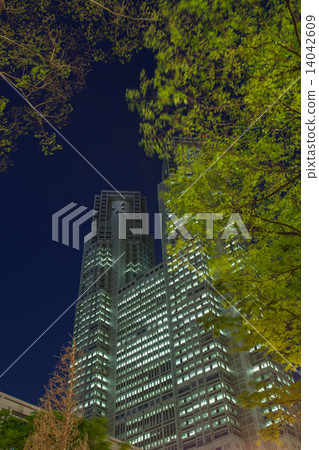 Night view of fresh green trees and skyscrapers 14042609