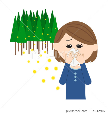 A pollen woman and a cedar pollen runny nose 14042907