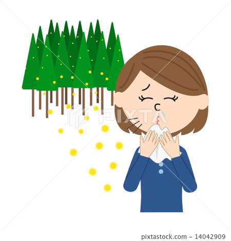 A pollen woman and cedar pollen sneezing 14042909