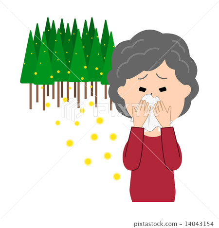 An elderly woman with hay fever and cedar pollen runny nose An elderly woman with hay fever and cedar pollen runny nose 14043154