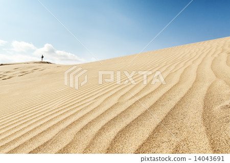 Canary islands, Maspalomas. Spain. Sand dunes. Canary islands, Maspalomas. Spain. Sand dunes. 14043691