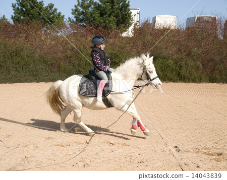 Girl on galloping ponny Girl on galloping ponny 14043839