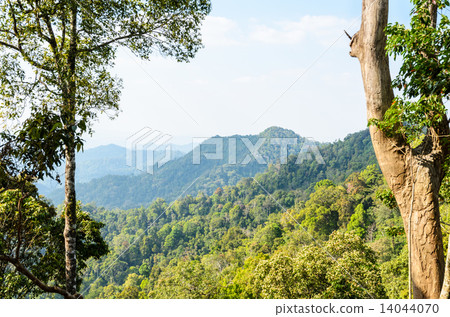 High angle view forest mountain and sky 14044070