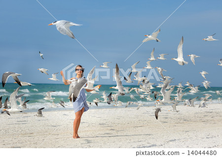 Young beautiful woman watching the seagulls flying 14044480