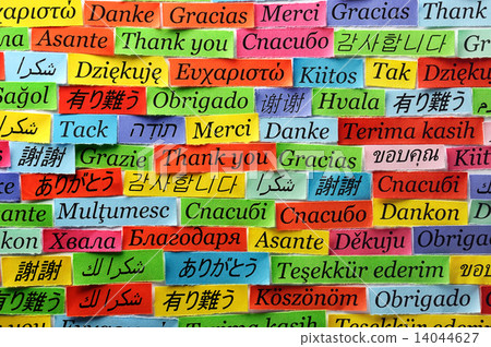 Thank You Thank You 14044627