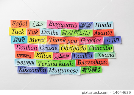 Thank You Thank You 14044629