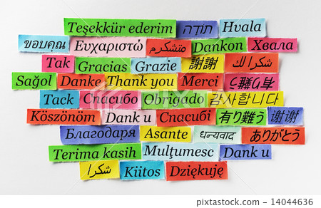 Thank You Thank You 14044636