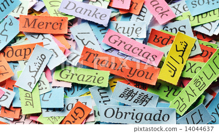 Thank You Thank You 14044637