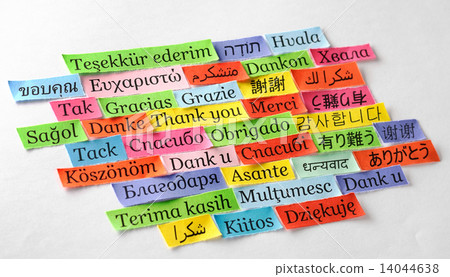 Thank You Thank You 14044638