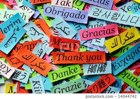 Thank You Thank You 14044742