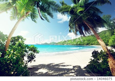 beach, Mahe island, Seychelles beach, Mahe island, Seychelles 14046075