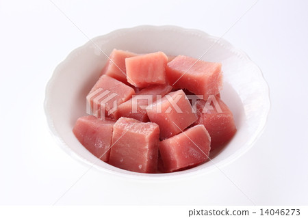 孩子切金槍魚 14046273