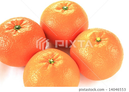 Permanent · 6 Permanent · 6 14046553