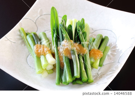 Vietnamese vinegar with garlic Vietnamese vinegar with garlic 14046588