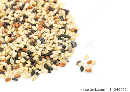 Five colored brown rice 14046952