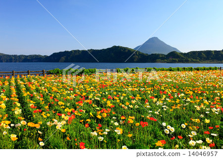 池田湖和凱蒙達克 池田湖和凱蒙達克 14046957