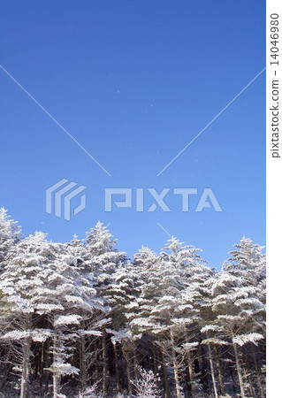 Breath taking view of diamond dust seen in Hakuyama in the morning of a cold cold, Shirakaga Kogen in Nagano Prefecture, snowy day 14046980