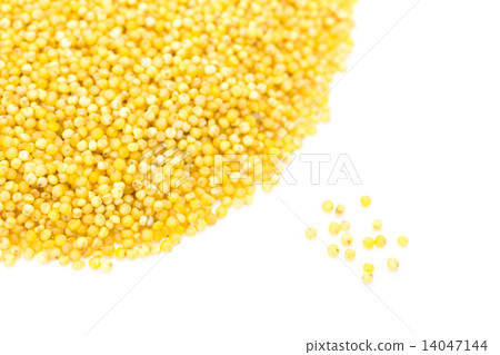 阿波有 阿波有 14047144