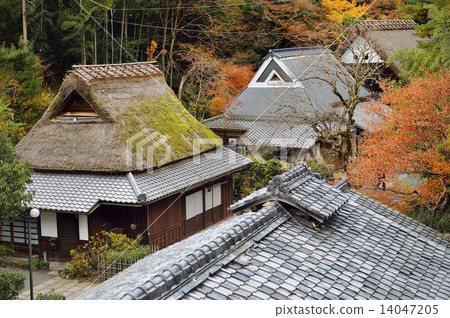 Torihimoto Kyoto Oku Saga Torihimoto Kyoto Oku Saga 14047205