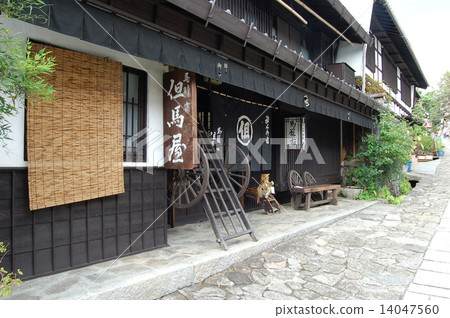 A horse cage 14047560